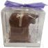 Chocolate Belted Galloway- Gift Box of 5
