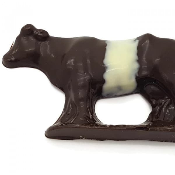 Chocolate Belted Galloway - Gift Boxed
