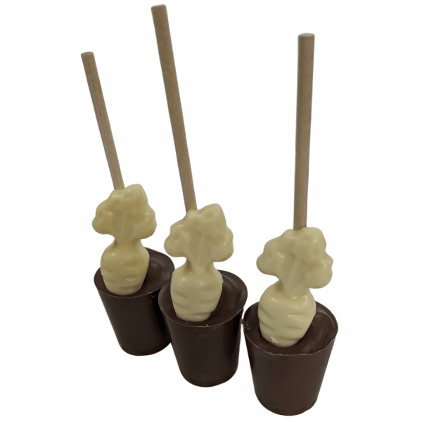 Carrot Hot Chocolate Stirrer - Milk and White