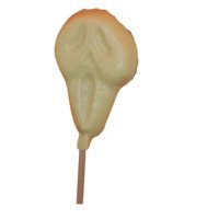Scream White Chocolate Lolly